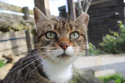 Picture of Meg - Photo 6