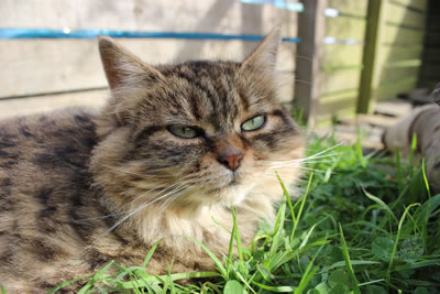 Picture of Bobbie - Photo 7